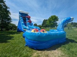 STINGRAY 19FT SLIDE (DRY)