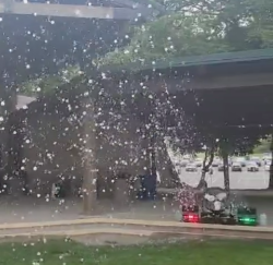 Screenshot202025 08 1920185320 1755647619 Bubble Party